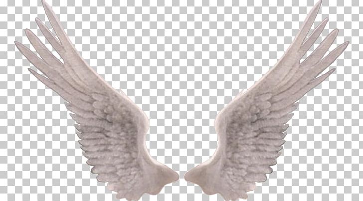 Guardian Angel Drawing Painting PNG, Clipart, Angel, Banco De Imagens, Beak, Bird Of Prey, Drawing Free PNG Download