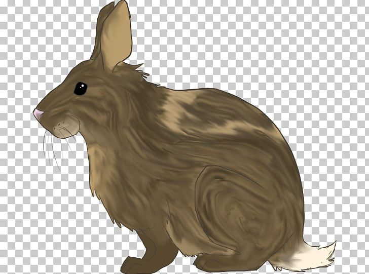 Hare Domestic Rabbit Animal Mammal PNG, Clipart, Animal, Animal Figure, Carnivora, Carnivoran, Domestic Rabbit Free PNG Download