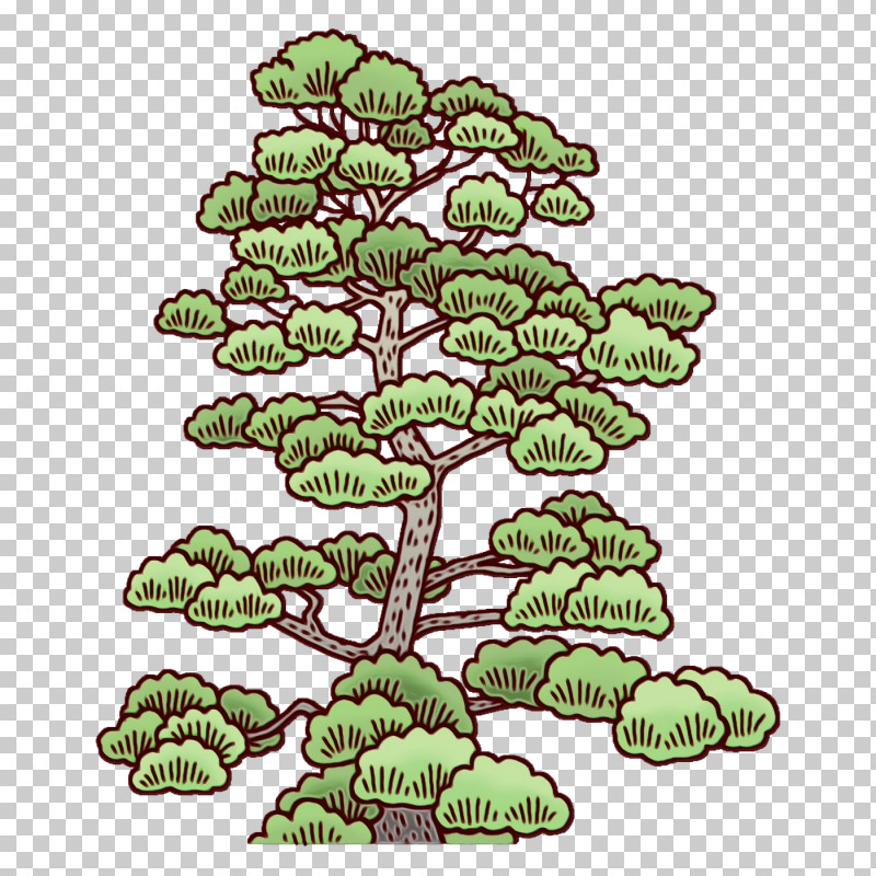 Family Tree PNG, Clipart, Branch, Christmas Day, Christmas Tree, Family, Family Tree Free PNG Download