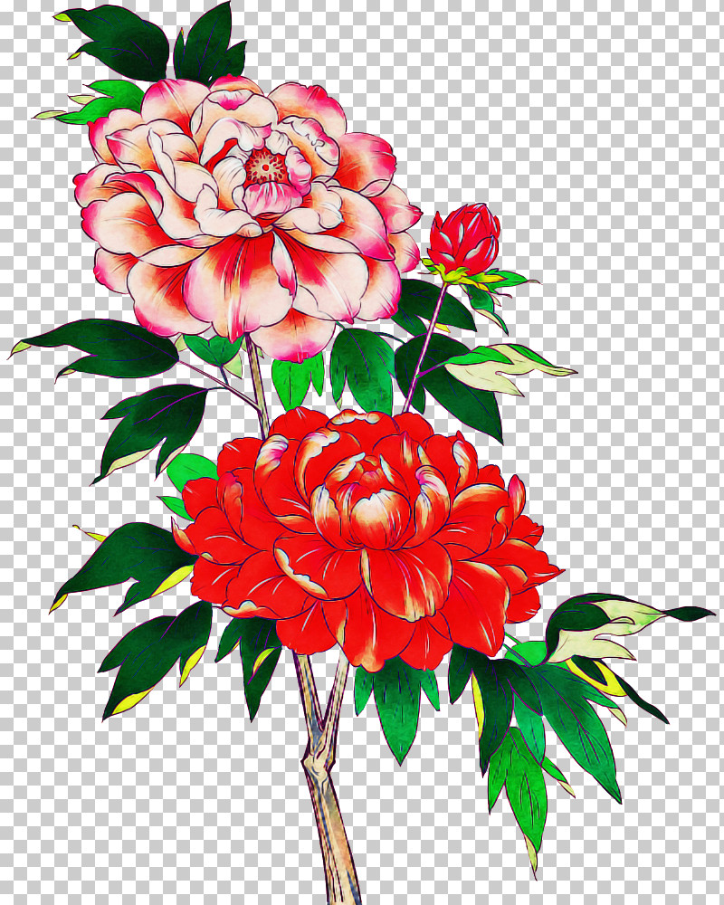 Garden Roses PNG, Clipart, Artificial Flower, Cabbage Rose, Carnation, Chrysanthemum, Cut Flowers Free PNG Download
