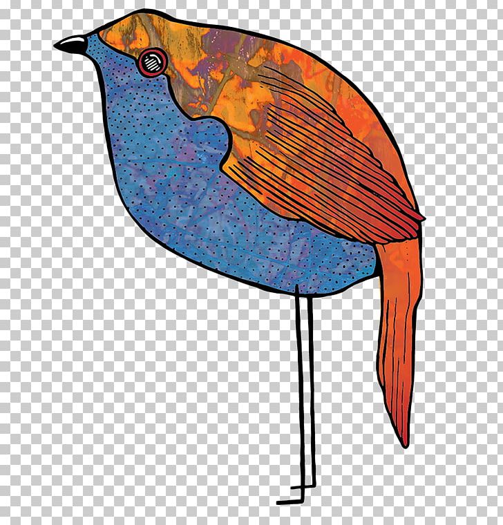 Beak Feather Fish PNG, Clipart, Animals, Artwork, Beak, Bird, Fauna Free PNG Download