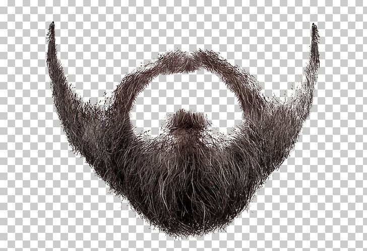 Beard Photography PNG, Clipart, Beard, Beard And Moustache, Clip Art, Desktop Wallpaper, Download Free PNG Download