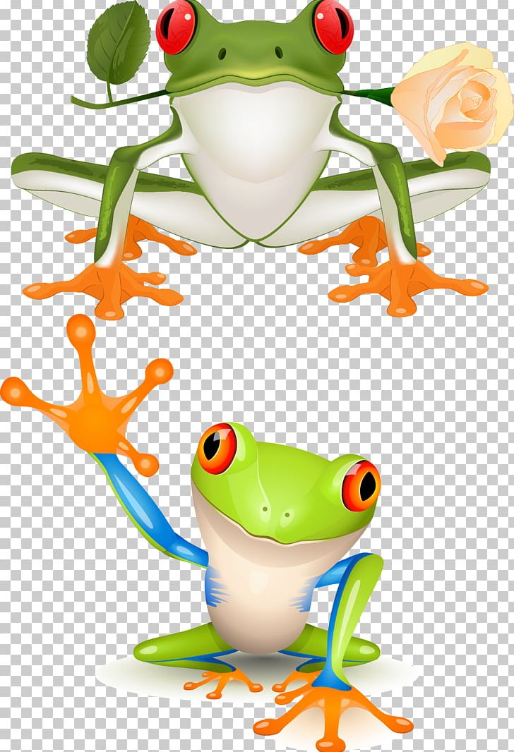 Red-eyed Tree Frog PNG, Clipart, Animals, Australian Green Tree Frog,  Balloon Cartoon, Boy Cartoon, Car