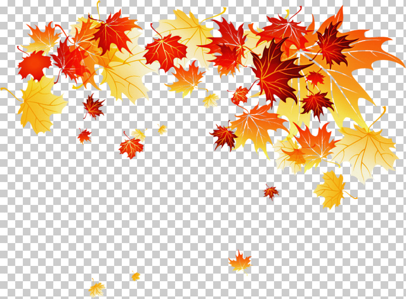 Maple Leaf PNG, Clipart, Autumn Pattern, Branch, Leaf, Maple Leaf, Picture Frame Free PNG Download