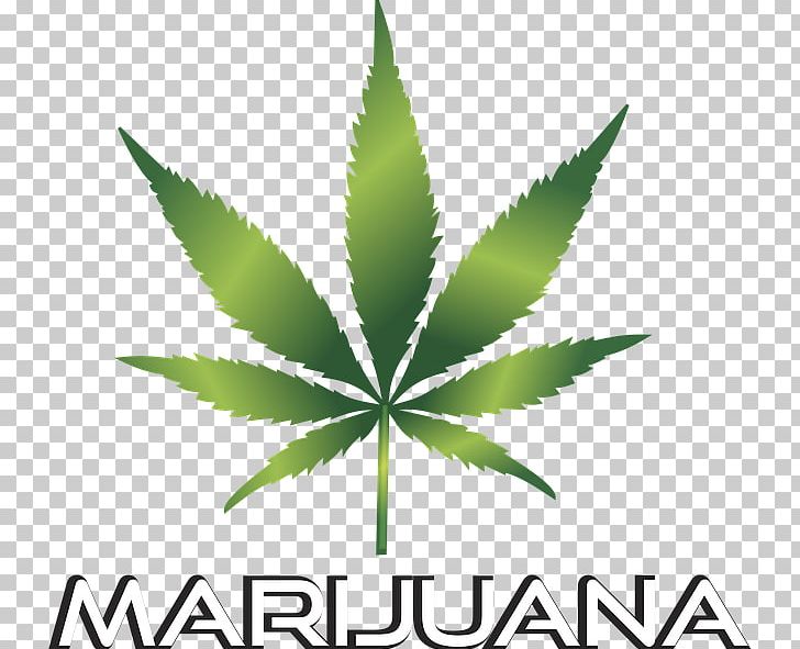 Adult Use Of Marijuana Act Medical Cannabis PNG, Clipart, Adult Use Of Marijuana Act, Blunt, Cannabis, Cannabis Smoking, Cannabis Social Club Free PNG Download