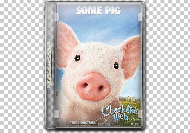 Charlotte S Web Wilbur Charlotte A Cavatica Film Fern Arable Png Clipart Free Png Download Search, discover and share your favorite charlottes web gifs. imgbin com