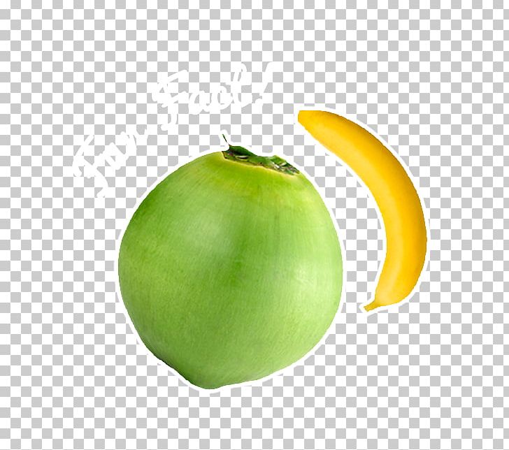 Coconut Apple Vegetable PNG, Clipart, Apple, Coconut, Food, Fruit, Fruit Nut Free PNG Download