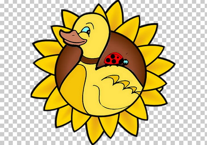 Common Sunflower Drawing PNG, Clipart, Art, Artwork, Beak, Bird, Coloring Book Free PNG Download