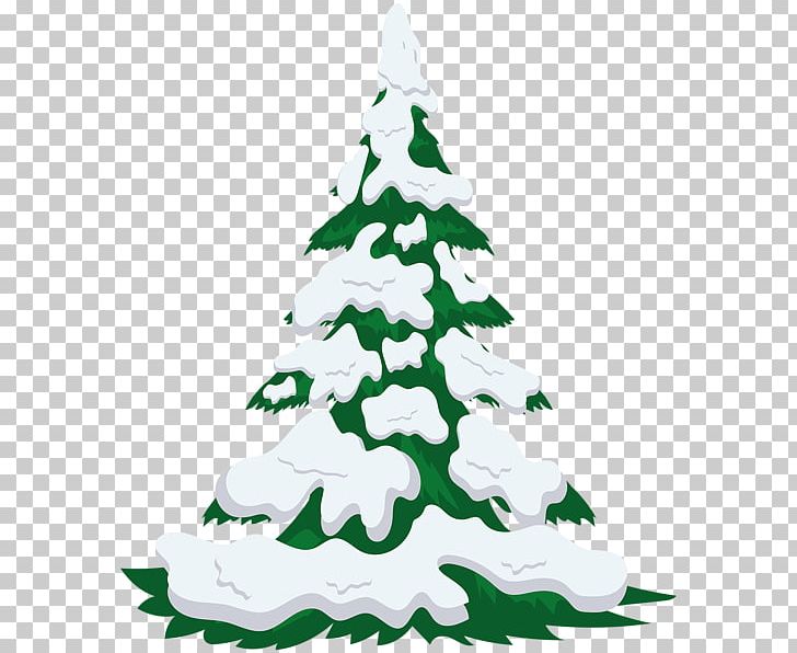 Christmas Tree Fir Snow PNG, Clipart, Christmas, Christmas Decoration, Christmas Ornament, Christmas Tree, Conifer Free PNG Download