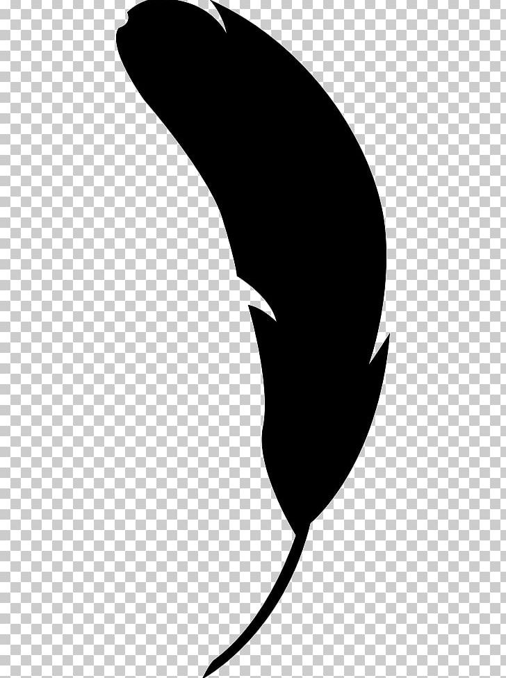 Feather Shape PNG, Clipart, Animals, Artwork, Beak, Black, Black And White Free PNG Download