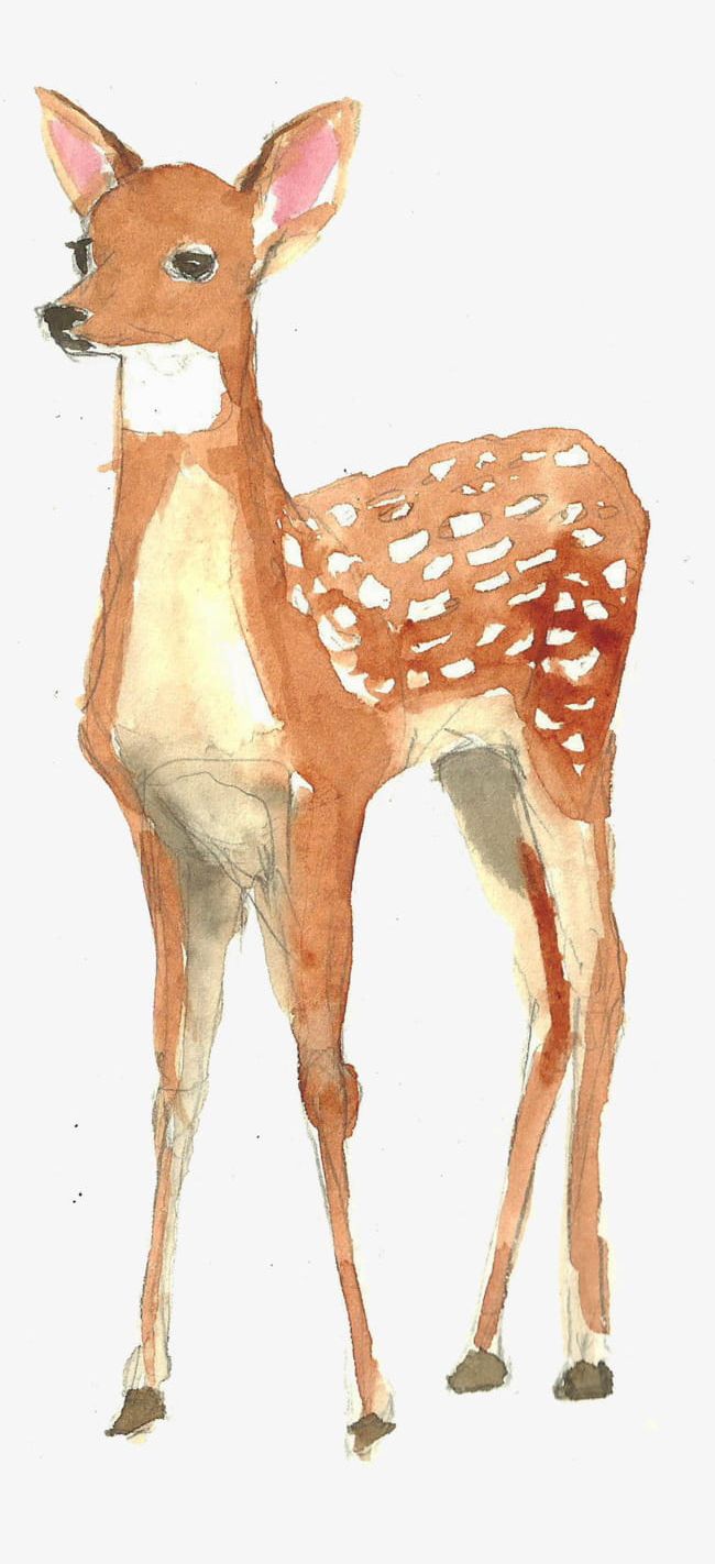 Hand-painted Watercolor Deer PNG, Clipart, Animal, Animal Deer, Creative, Deer, Deer Clipart Free PNG Download
