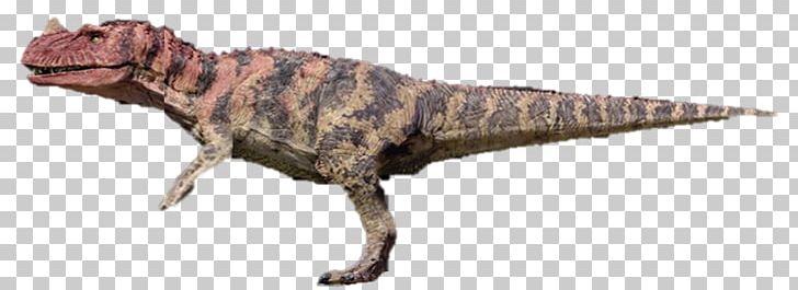 Tyrannosaurus Ceratosaurus Velociraptor Spinosaurus Segisaurus PNG, Clipart, Animal Figure, Ceratosaurus, Dilophosaurus, Dinosaur, Extinction Free PNG Download