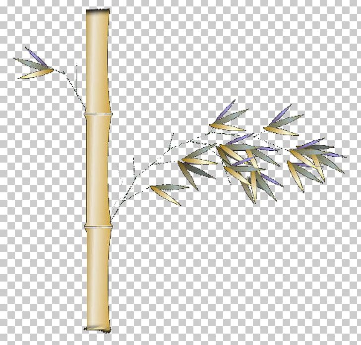 Bamboo Bamboe Chrysanthemum PNG, Clipart, Angle, Bamboe, Bamboo, Bamboo Border, Bamboo Frame Free PNG Download