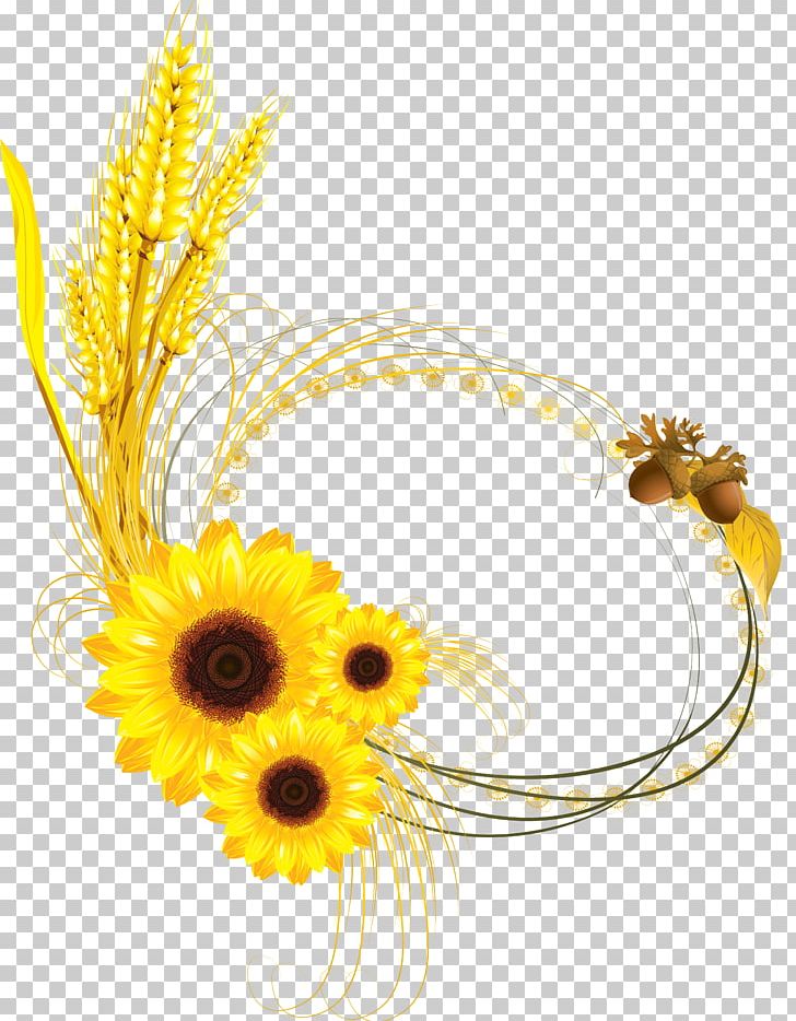 Common Sunflower Photography PNG, Clipart, Autumn, Commodity, Common Sunflower, Cut Flowers, Daisy Family Free PNG Download