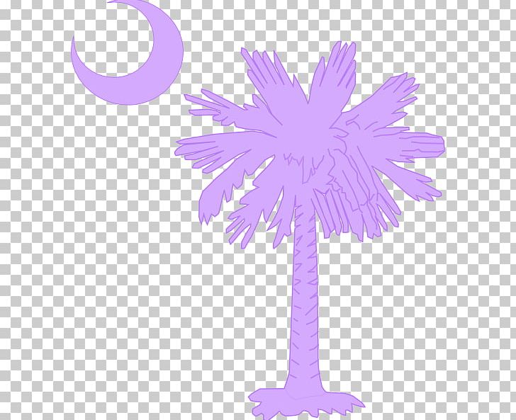 Flag Of South Carolina Sabal Palm Palm Trees Crescent PNG, Clipart, Crescent, Decal, Feather, Flag Of South Carolina, Flower Free PNG Download