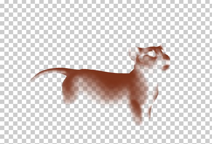 Chihuahua Italian Greyhound Puppy Whiskers Dog Breed PNG, Clipart, Animals, Breed, Carnivoran, Cat, Cat Like Mammal Free PNG Download