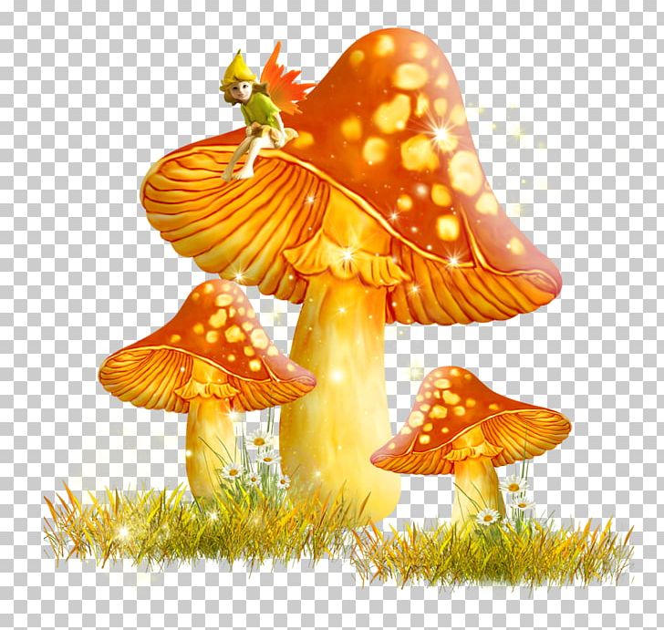 Mushroom Fungus PNG, Clipart, Clip Art, Common Mushroom, Drawing, Fungus, Golden Free PNG Download
