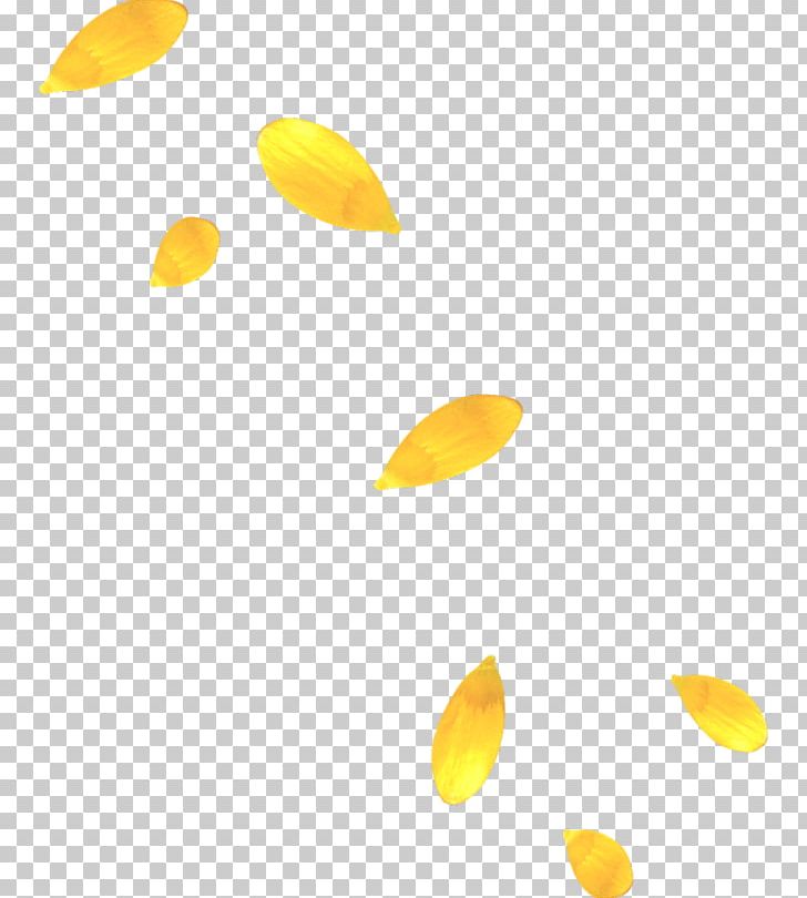 Petal Yellow PNG, Clipart, Adobe Illustrator, Autumn, Autumn Leaves, Autumn Tree, Clip Art Free PNG Download