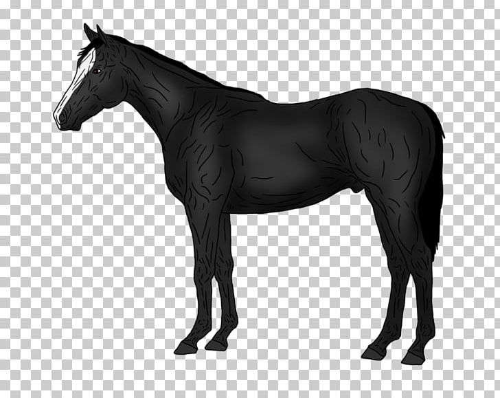 Thoroughbred American Quarter Horse Pony Stallion Silhouette PNG, Clipart, American Quarter Horse, Animals, Black And White, Bridle, Colt Free PNG Download