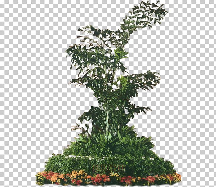 Flowerpot PNG, Clipart, Agac, Bonsai, Branch, Download, Encapsulated Postscript Free PNG Download