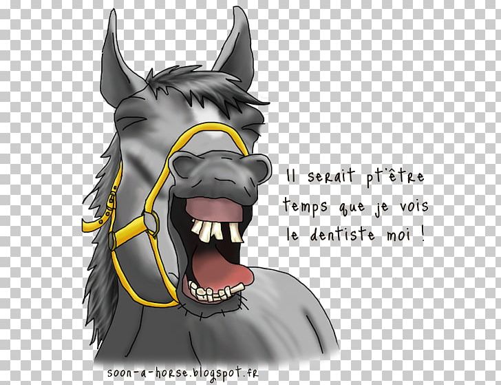 Horse Equine Dentistry Dog Tooth PNG, Clipart, Animals, Blog, Carnivoran, Cartoon, Dental Technician Free PNG Download