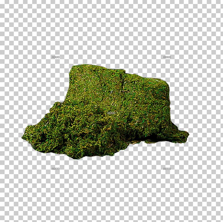 Outcrop PNG, Clipart, Grass, Others, Outcrop, Rock Free PNG Download