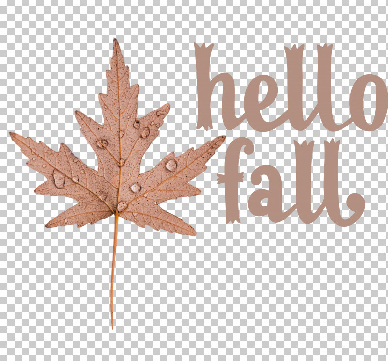 Hello Fall Fall Autumn PNG, Clipart, Autumn, Biology, Fall, Hello Fall, Leaf Free PNG Download