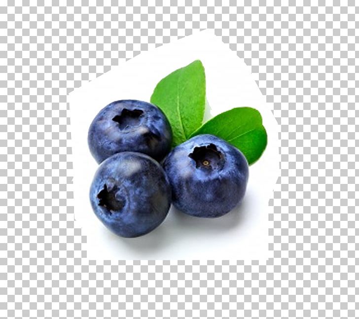 Blueberry Fruit Muffin Flavor Cream PNG, Clipart, Berry, Bilberry, Blueberry, Blueberry Extract, Blueberry Tea Free PNG Download