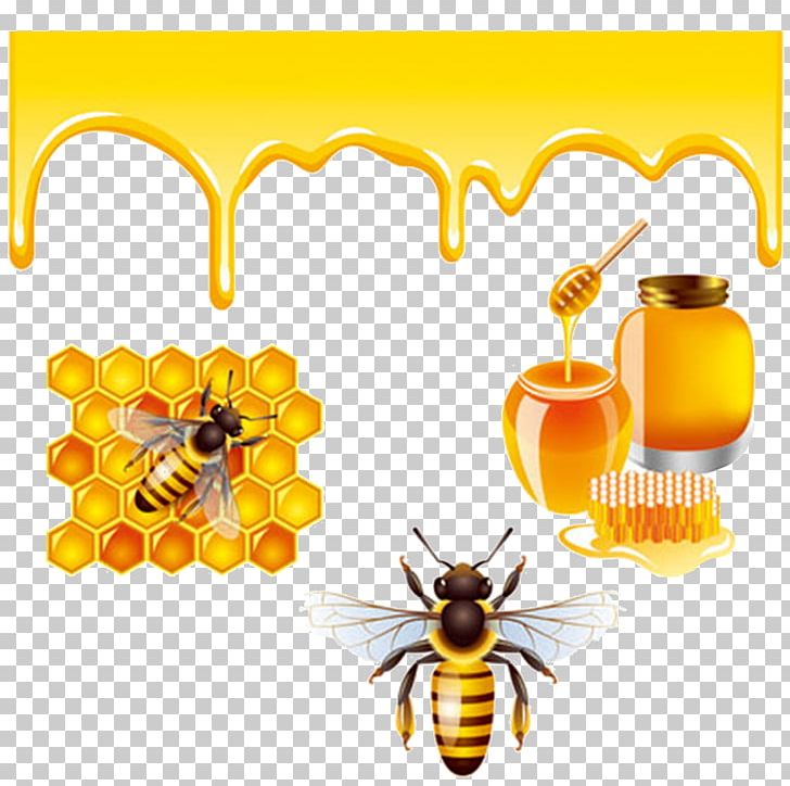 Honey Bee PNG, Clipart, Animal, Bee, Bee Hive, Bees Honey, Cartoon Bee Free PNG Download