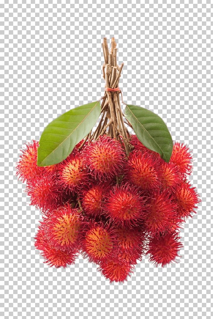 Rambutan Tropical Fruit Fruit Exotique PNG, Clipart, Christmas Ornament, Food, Fruit, Fruit Exotique, Fruit Tree Free PNG Download
