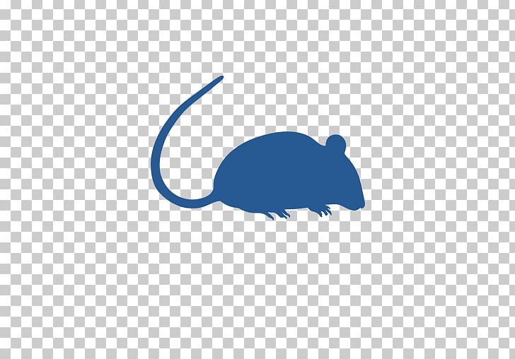 Rat Pest Control Exterminator Insect PNG, Clipart, Animals, Bed Bug, Biological Pest Control, Carnivoran, Cockroach Free PNG Download