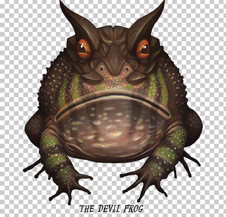 Devil Frog Drawing PNG, Clipart, Animals, Art, Bullfrog, Crazy Frog, Crazy Monster Frogs Free PNG Download