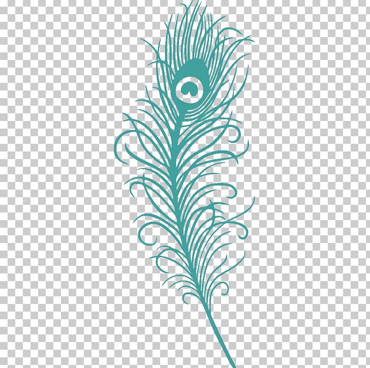 Feather Peafowl Quill Animal PNG, Clipart, Animal, Color, Feather, Flora, Flower Free PNG Download