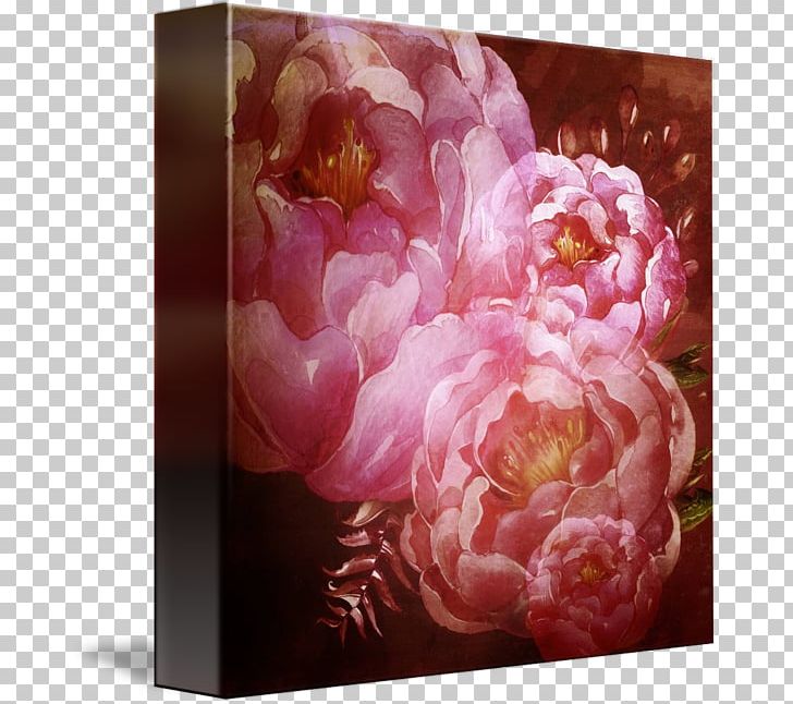 Flower Still Life Photography Floral Design Rosaceae PNG, Clipart, Floral Design, Flower, Flowering Plant, Nature, Peony Free PNG Download