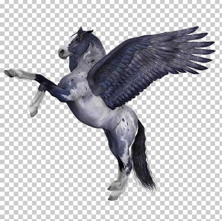 Horse Pegasus Medusa Myth PNG, Clipart, Animals, Beak, Bird, Drawing, Fauna Free PNG Download