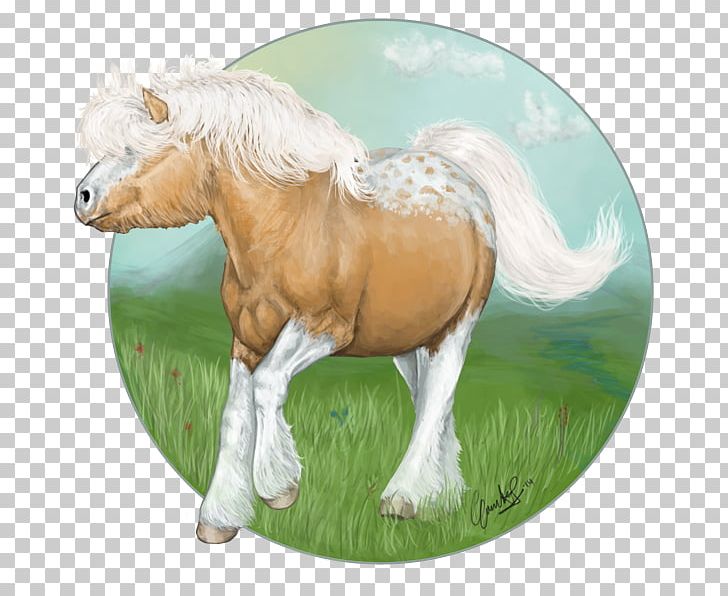 Mustang Stallion Foal Mare Pony PNG, Clipart, Foal, Grass, Horse, Horse Like Mammal, Livestock Free PNG Download
