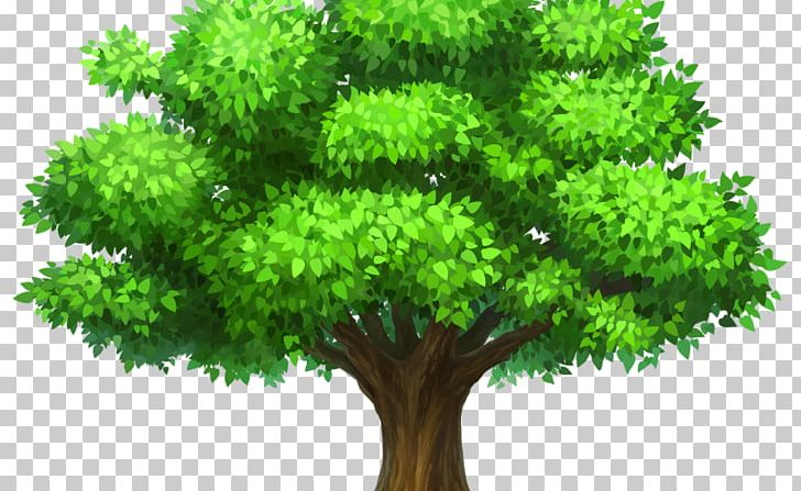 Tree Desktop PNG, Clipart, Art, Branch, Desktop Wallpaper, Document, Drawing Free PNG Download