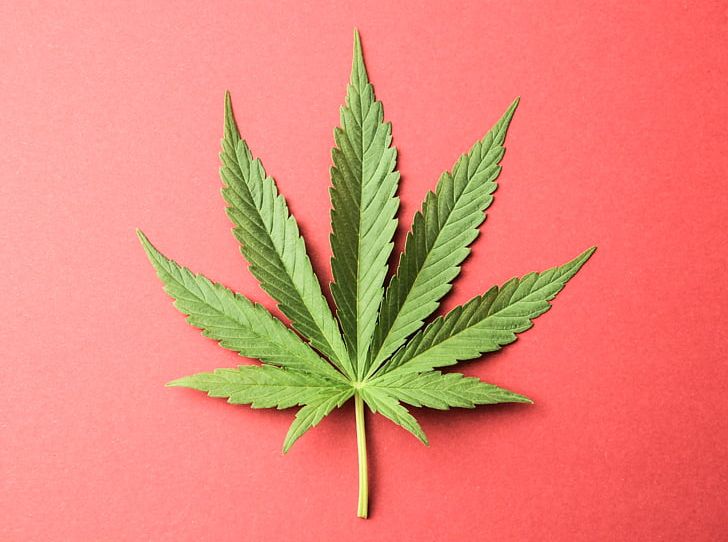 Medical Cannabis Cannabis Industry Legalization 3D Printing PNG, Clipart, 3d Printing, Cannabis, Cannabis Cultivation, Cannabis Industry, Computeraided Design Free PNG Download