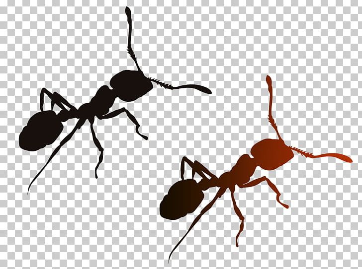 Red Imported Fire Ant Solenopsis Geminata IQOS Insect PNG, Clipart, Ant, Arthropod, Beagle, Drug, Eps Free PNG Download