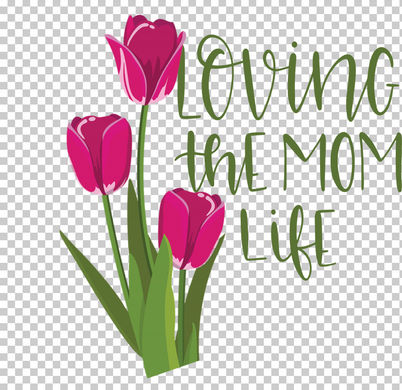Mothers Day Mothers Day Quote Loving The Mom Life PNG, Clipart, Cut Flowers, Floral Design, Flower, Greeting, Greeting Card Free PNG Download