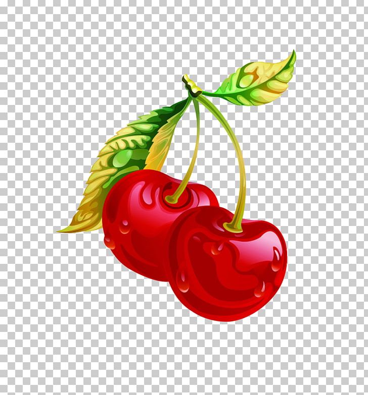 Cherry Red PNG, Clipart, Auglis, Cartoon, Cherries, Cherry, Cherry Blossoms Free PNG Download