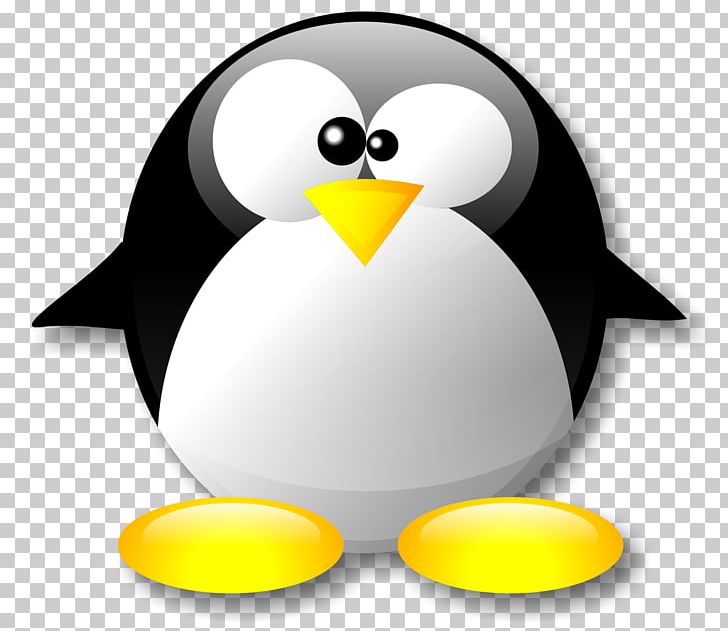 Penguin Tux Linux PNG, Clipart, Animals, Beak, Bird, Computer Icons, Computer Software Free PNG Download