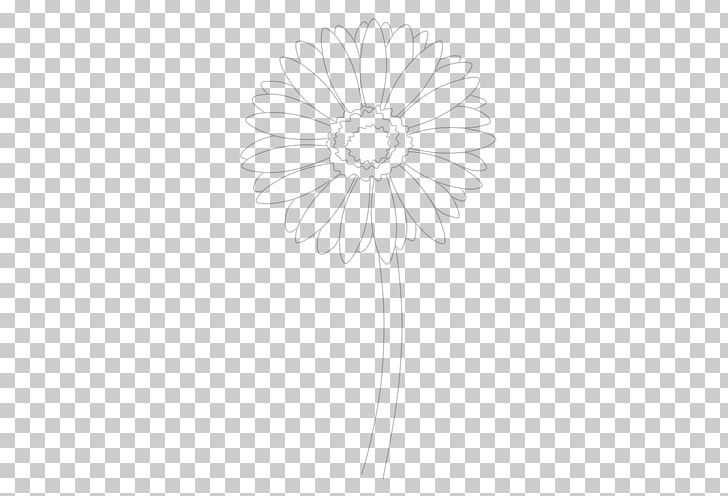 Transvaal Daisy Cut Flowers Petal Chrysanthemum PNG, Clipart, Black And White, Circle, Daffodil, Daisy Family, Drawing Free PNG Download