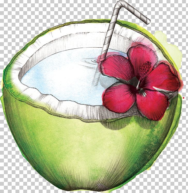 Watermelon Coconut Water Still Life Photography PNG, Clipart, Apple, Bag, Citrullus, Coconut Water, Flower Free PNG Download