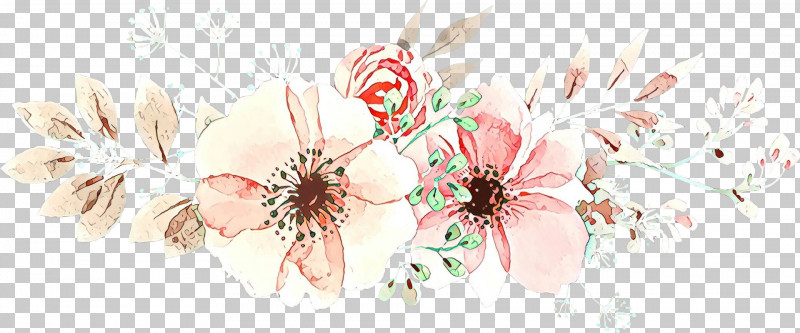 Pink Petal Flower Plant Blossom PNG, Clipart, Blossom, Flower, Petal, Pink, Plant Free PNG Download