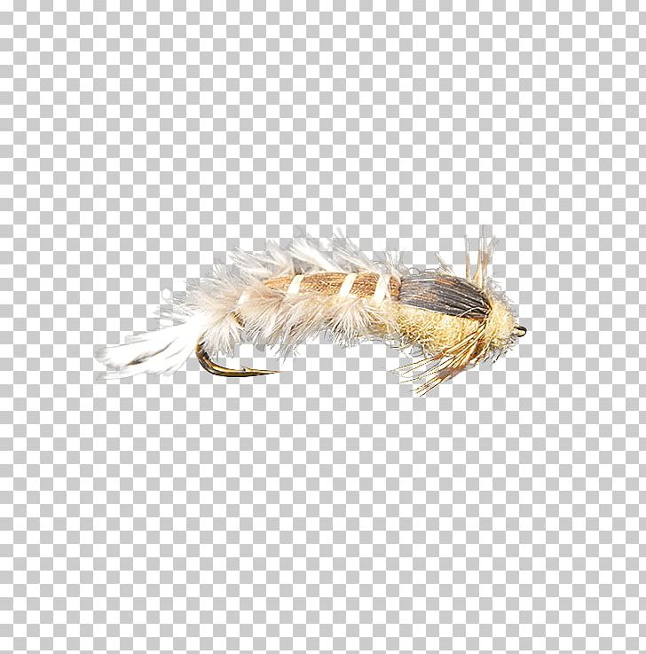 Hexagenia Limbata Nymph Mayfly Fly Fishing PNG, Clipart, Bugger, Card, Feather, Fly, Fly Fishing Free PNG Download