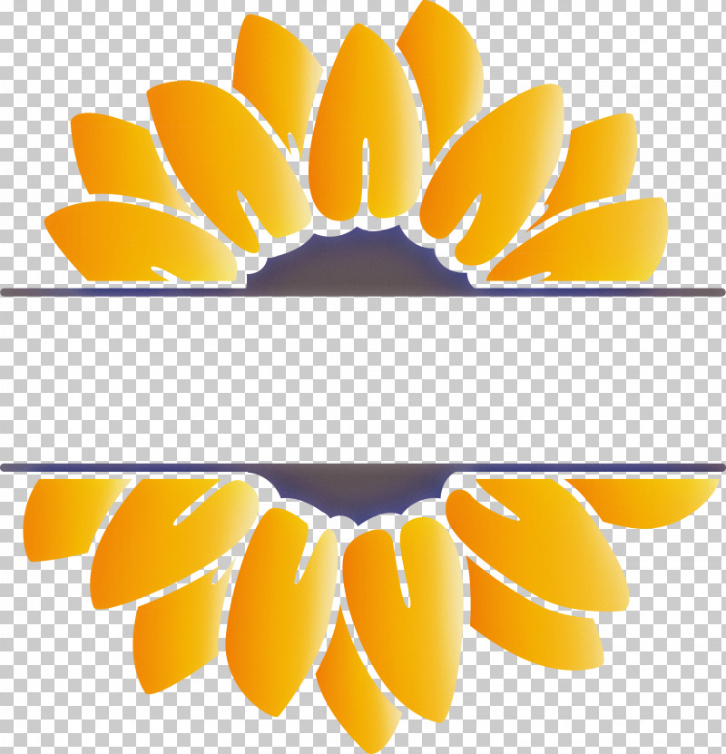 Sunflower Summer PNG, Clipart, Computer, Drawing, Leaf, Motion Graphics, Summer Free PNG Download