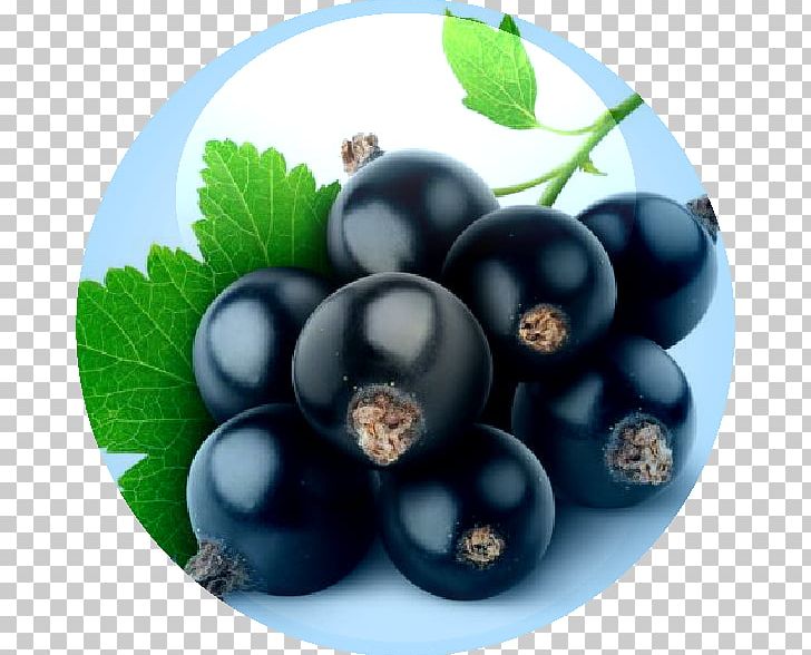 Blackcurrant Juice Crème De Cassis Flavor Organic Food PNG, Clipart, Bilberry, Blackberry, Blackcurrant, Black Seed Oil, Blueberry Free PNG Download