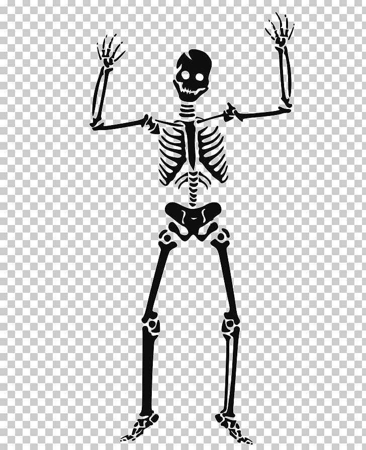 Human Skeleton Skull PNG, Clipart, Black And White, Bone, Drawing, Free Content, Hand Free PNG Download