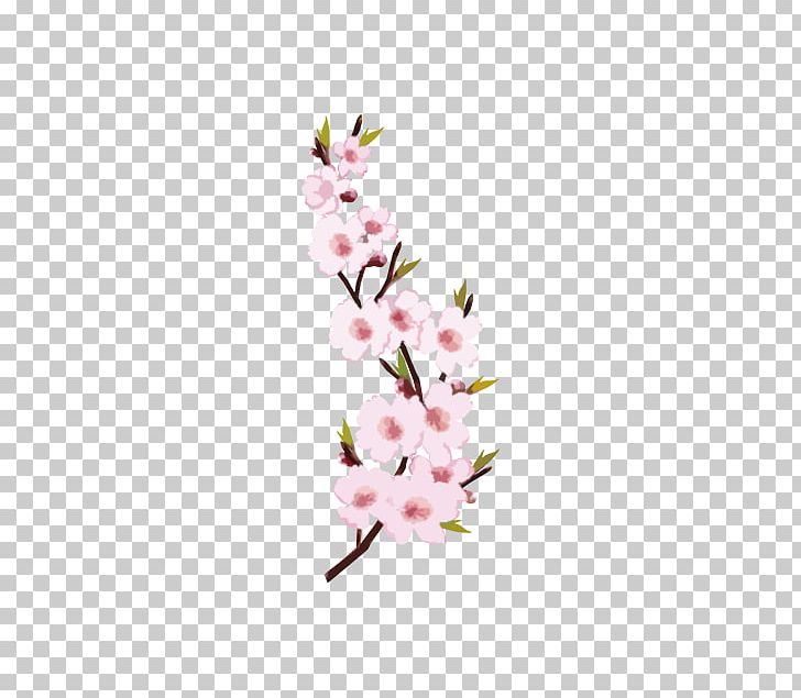 Peach PNG, Clipart, Big, Big Map Network, Blossom, Branch, Cherry Blossom Free PNG Download